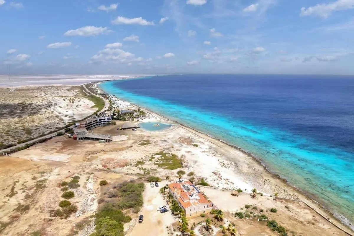 King'S Beach Ocean'S Eleven Playa Bonaire, Sint Eustatius & Saba